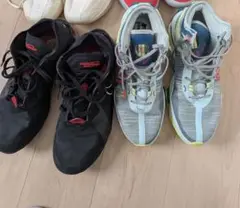 バッシュセット