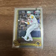 Manny Machado選手