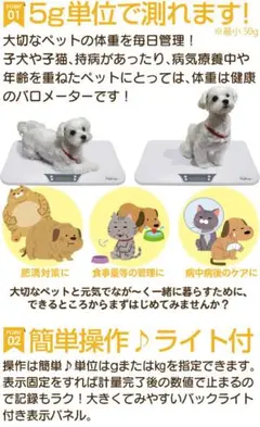 Item thumbnail for item c6e9d767-318f-48ad-9709-3ad205ee3cb9