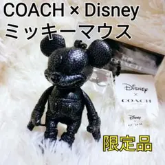 COACH ミッキー×キースヘリング ラージ レザー ぬいぐるみ ディズニー COACH コーチ ラージ キース・へリングコラボ ミッキー