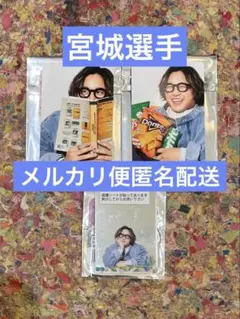 オリックス・バファローズ　オリ姫　宮城大弥　3点セット
