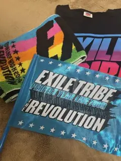 EXLIE TRIBE PERFECT YEAR LIVE TOUR 2014