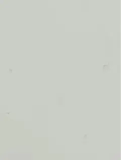 専用
