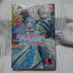 新品難有/ 白い結婚を求め、離縁を求められる妻ですが、既に家にはおりません。 1
