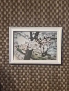 Item thumbnail for item 5360e203-be90-4786-ba6e-f158a3da085c