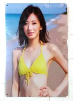 ♪北川景子 ブリキ看板 メタルサイン インテリア雑貨♪