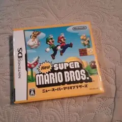 DS ニュースーパーマリオブラザーズ