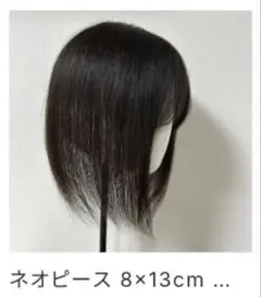 Item thumbnail for item 07d73531-c328-47a5-acee-faa97c6f9d96