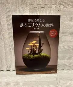 部屋で楽しむ きのこリウムの世界