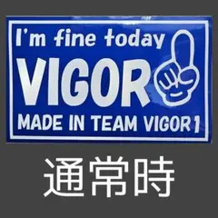 VIGOR1. バッグ、ステッカーセット m87940370294_1.jpg?1750081677
