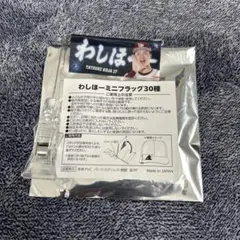 楽天イーグルス 古謝樹 わしほーミニフラッグ