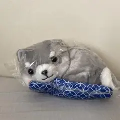 Item thumbnail for item 5da4f157-0e10-459f-9cd0-edc64096d551