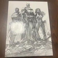 ICONS DCコミックス&ワイルドストーム　アートオブジムリーJIM LEE