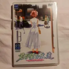 君が望む永遠　special FanDisk