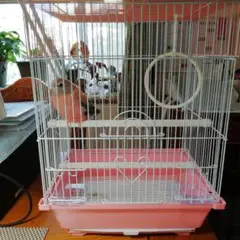 Item thumbnail for item 7d3adec4-1034-418b-848b-ae6693f1f3fa