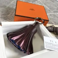 ⭐︎2022年購入⭐︎ HERMES エルメス カルメン トリコロール 3色