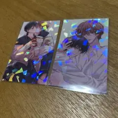 ピットスポルム　ホログラムカード
