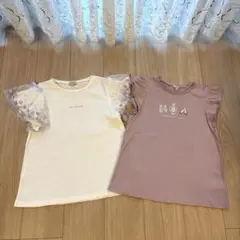エニィファム　Tシャツ　150 2枚セット
