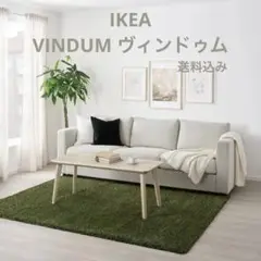 2025年最新】ikea ラグ vindumの人気アイテム - メルカリ