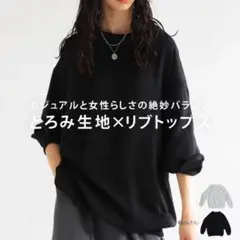 アンティカ タグ付き新品 大人気 リブ切り替えシアートップス ブラック