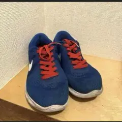 ナイキ　青　ブルー　レボリューション4　値下不可　27cm