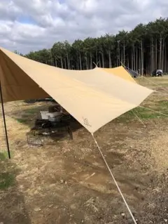 DOD チーズタープM