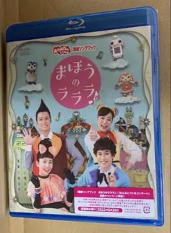 Item thumbnail for item 08d1acda-a0ea-47c1-ac14-bbda01d04510