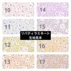 Item thumbnail for item 92928bad-cad6-43fa-8c6e-497d1ca40ba8