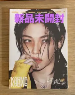 straykids KARMA 新品未開封 アコーディオン盤 フィリックス