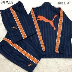 Item thumbnail for item 2cba2989-9123-48e8-a78a-8e0d7415d181