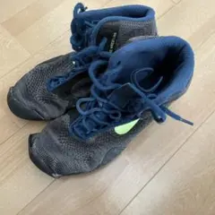 Item thumbnail for item c6f93aae-d73f-47c4-966f-221dba80a27b