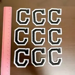 Item thumbnail for item 1c848ec6-492f-4269-9de3-49fa52688247