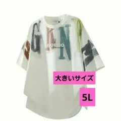 大きいサイズ　ウィメンズ　カジュアルTシャツ　5L