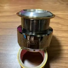 超希少廃盤 ダイワ 04 セルテート 2500R-カスタム SLP フルカスタム ダイワ セルテート カスタムボディ LT5000-XH SLPW 衝撃的な