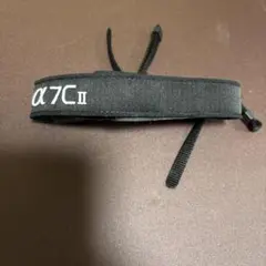 Item thumbnail for item 3c409d34-7bdc-40c2-abcd-b974238e1c34