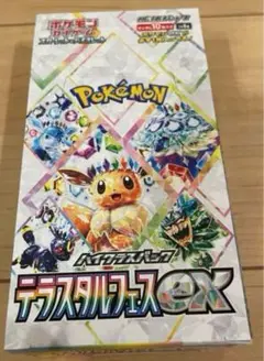 テラスタルフェスex 10パック