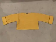 Item thumbnail for item 776da889-a1ac-4be9-962f-5a4ef28dd3ec