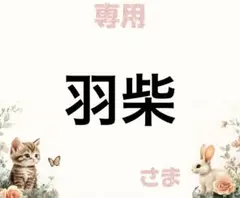 専用