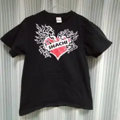 size M バンドTシャツ SHACHI