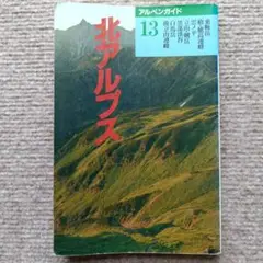 1995年 アルペンガイド 北アルプス 山と渓谷社