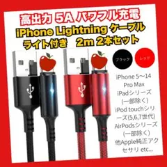 Lightning ケーブル iPhone 充電器 2m 2本セット Apple