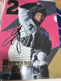 阪神タイガース　梅野隆太郎選手　クリアファイル
