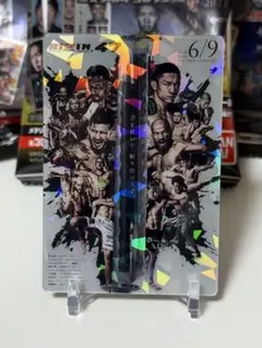 RIZIN 格闘技イベントカード6/9