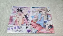 着飾るヒナはまだ恋を知らない 1、2巻セット