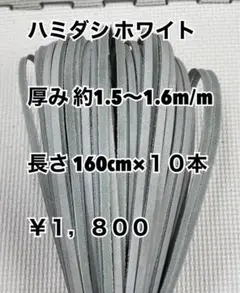 ハミダシ　ホワイト　160cm×１０本