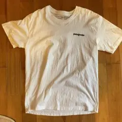 patagonia パタゴニア　P-6 レスポンシビリティー