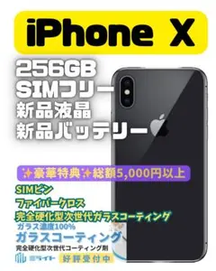【超美品】iPhoneX 256GB SIMフリー