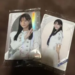 Item thumbnail for item 97729c4e-64d7-4706-961e-9a0eadf748b6