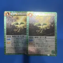 戦場に息づく命 ホイル仕様 2枚セット