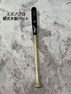 ミズノプロ MizunoPro 硬式用木製バット ロイヤルエクストラ メイプル